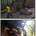 Polsek Tanjungsari Lakukan Pengecekan Bersama Instansi Terkait Adanya Bencana Angin Puting Beliung Merusak Rumah di Tanjungsari