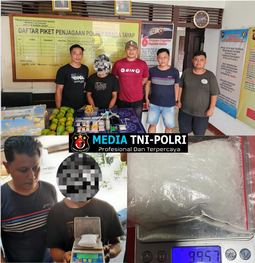 Kembali Ungkap Kasus Narkoba Polsek Nanga Tayap Amankan Seorang Pelaku Dan 99 Gram Sabu