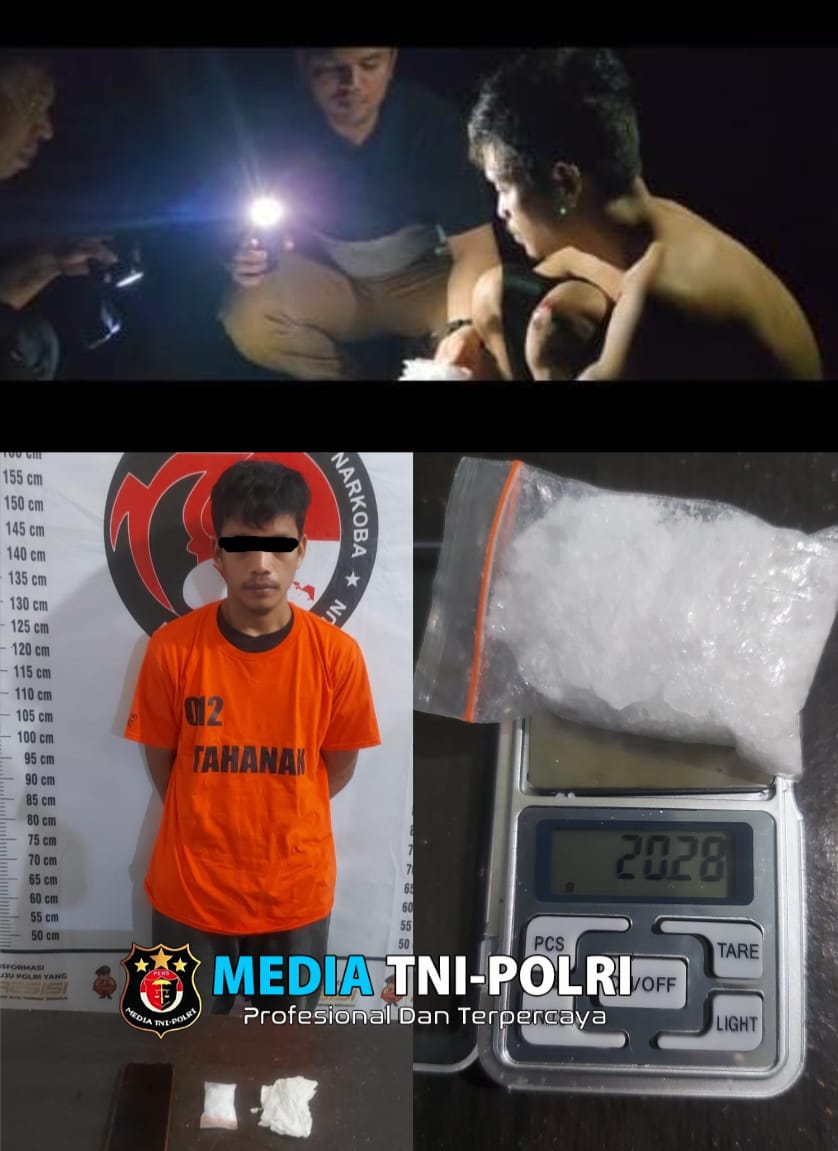 Sat Narkoba Polres Simalungun Tangkap Pengedar Sabu di Perkebunan Sawit, Amankan 20,28 Gram Narkotika