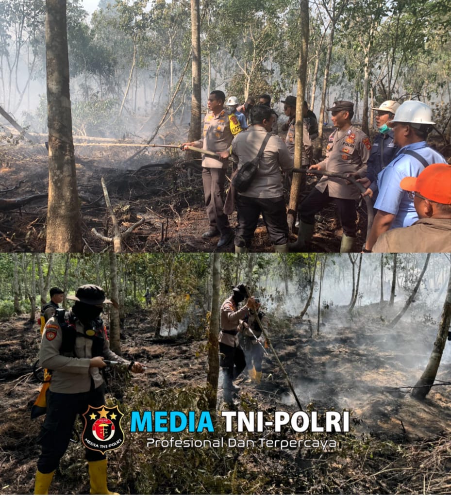 Bahu-Membahu: Polres OKI, TNI, Regu BKO Polda Sumsel, Manggala Agni, dan Perusahaan Bantu Warga Padamkan Kebakaran di Desa Tanjung Sari 2 Lempuing Jaya
