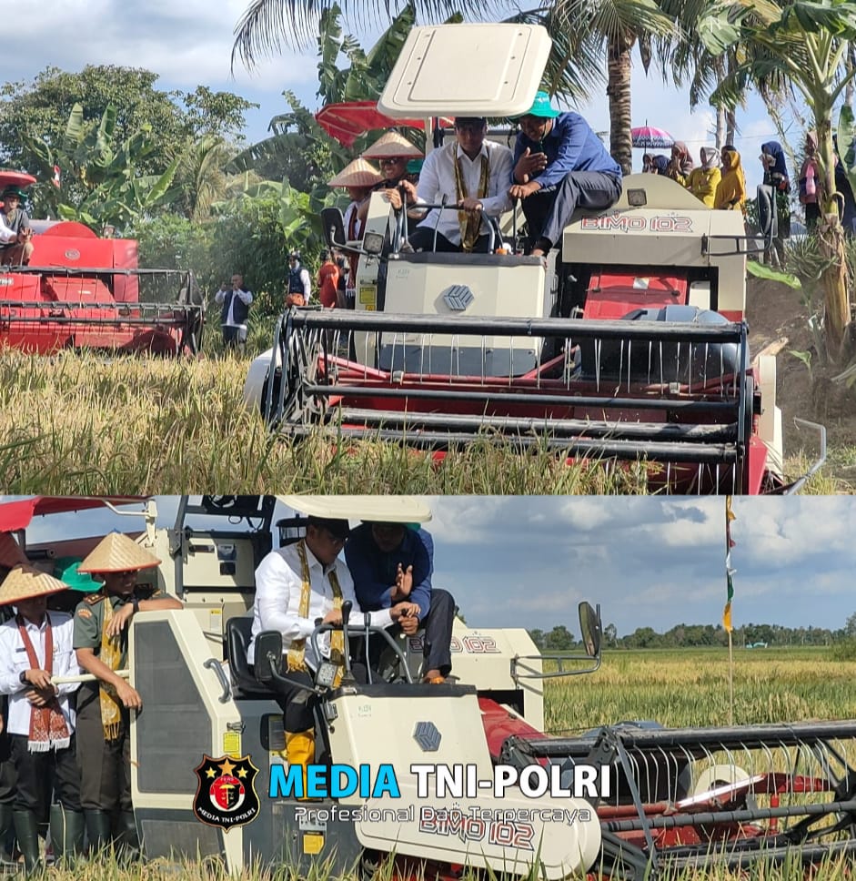 Wamentan RI Hadiri Panen Raya di Lahan Program Opla Desa Arisan Timur Kabupaten Muara Enim Sumsel