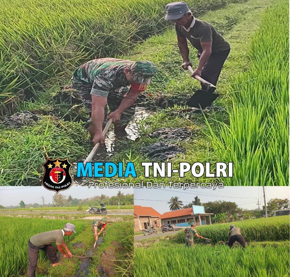 Selalu Dekat Dengan Warganya, Babinsa Desa Selopuro Tingkatkan Hasil Panen Petani