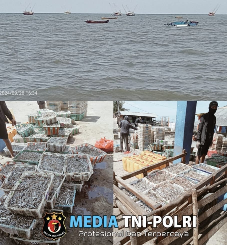 Desa Nelayan Batu Belubang: Tantangan di Balik Hasil Tangkapan Melimpah