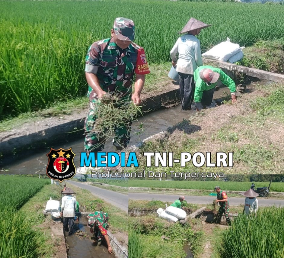Penuhi Kebutuhan Air Petani, Babinsa Bersama Warga Bersihkan Saluran Irigasi