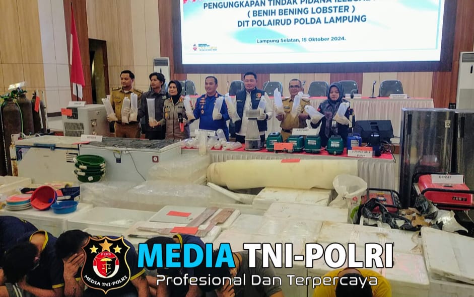 Penegakan Hukum Tegas untuk Perdagangan Benih Lobster Ilegal di Lampung