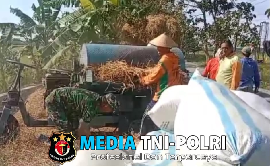 Wujudkan Swasembada Pangan, Bantu Petani Panen Padi