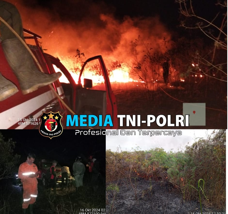 350 Hektar Lahan Hingga Satwa di TN Way Kambas Terbakar