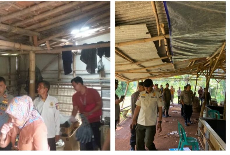 Polsek Cibinong Bersama Instansi Terkait Tindak Lanjuti Laporan Masyarakat Terkait Adanya Lokasi Dibuat Giat Judi Sambung Ayam