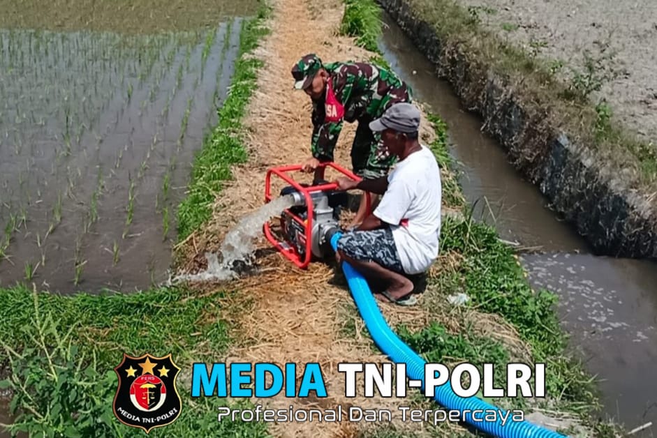 Babinsa Nglegok Dan Poktan Sido Makmur 1 Pastikan Ketersediaan Air Dengan Pompanisasi