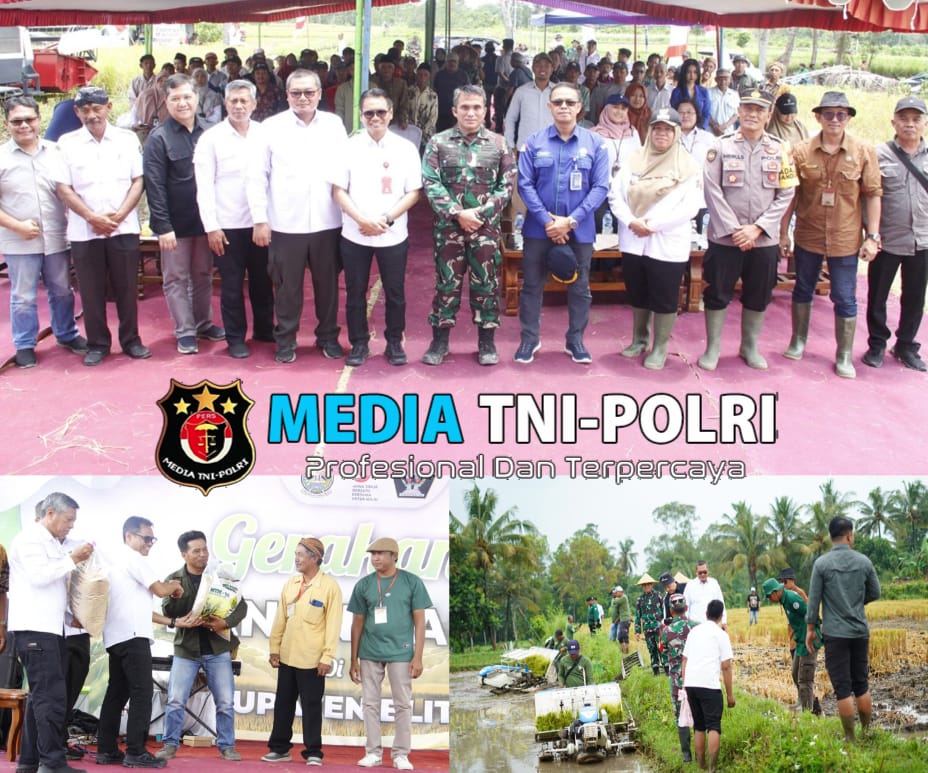 Panen Raya Padi, Dandim 0808 dan Kadistan Kabupaten Blitar Dampingi Dirjen Perlindungan Tanaman Kementan RI Di Desa Soso