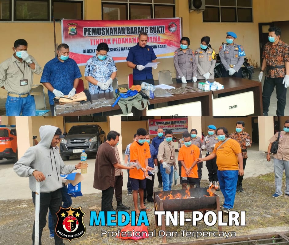 Ditresnarkoba Polda PB Musnahkan BB Narkotika Jenis Ganja