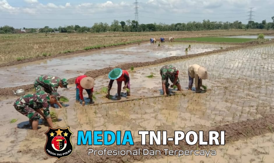 Serda Arfan Bergelut dengan Lumpur, Menanam Harapan di Sawah