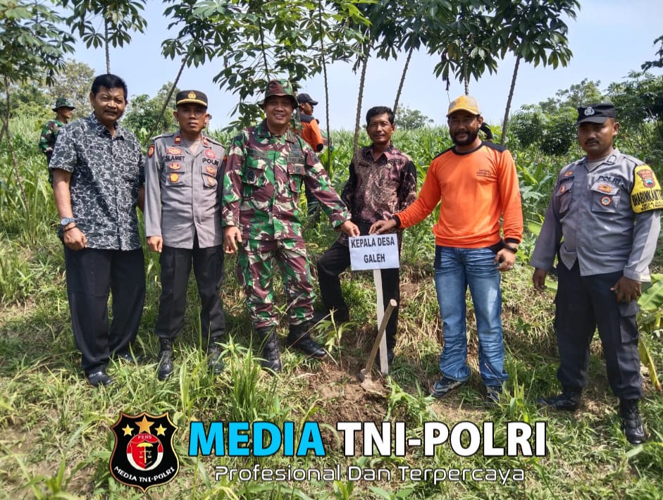 Danramil Tanam Pohon Sukun Serentak di Kawedanan: Wujud Peduli Lingkungan dan Ketahanan Pangan