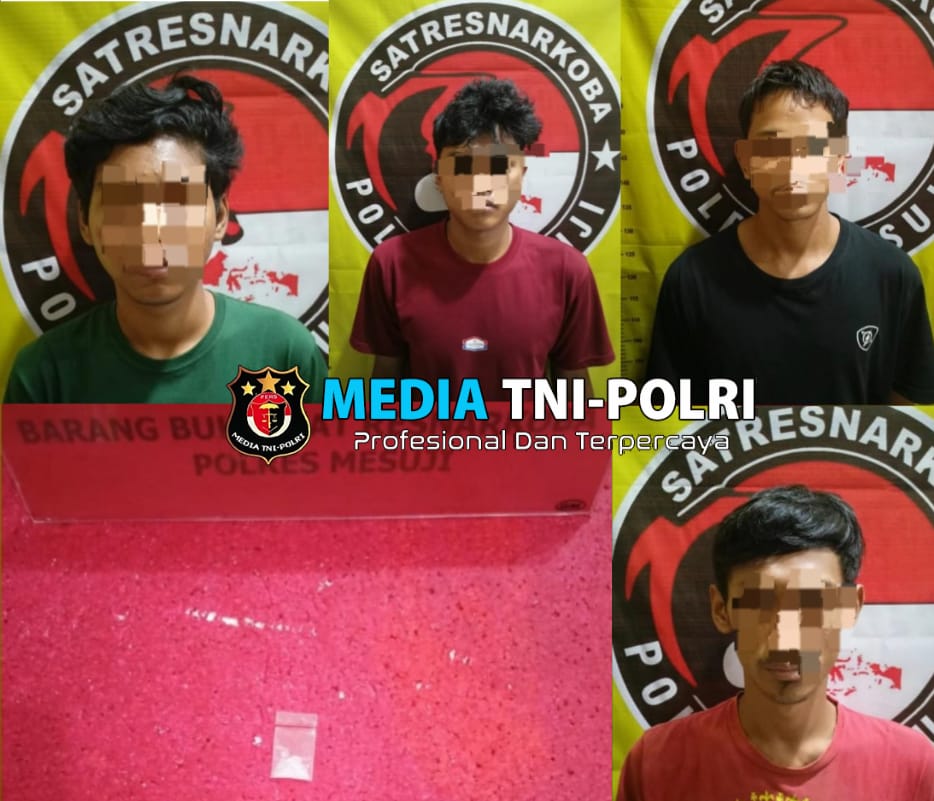 Dukung Program Asta Cita Presiden RI,Sat Res Narkoba Polres Mesuji  Amankan 4 Pelaku Kedapatan Penyalahgunakan Narkotika