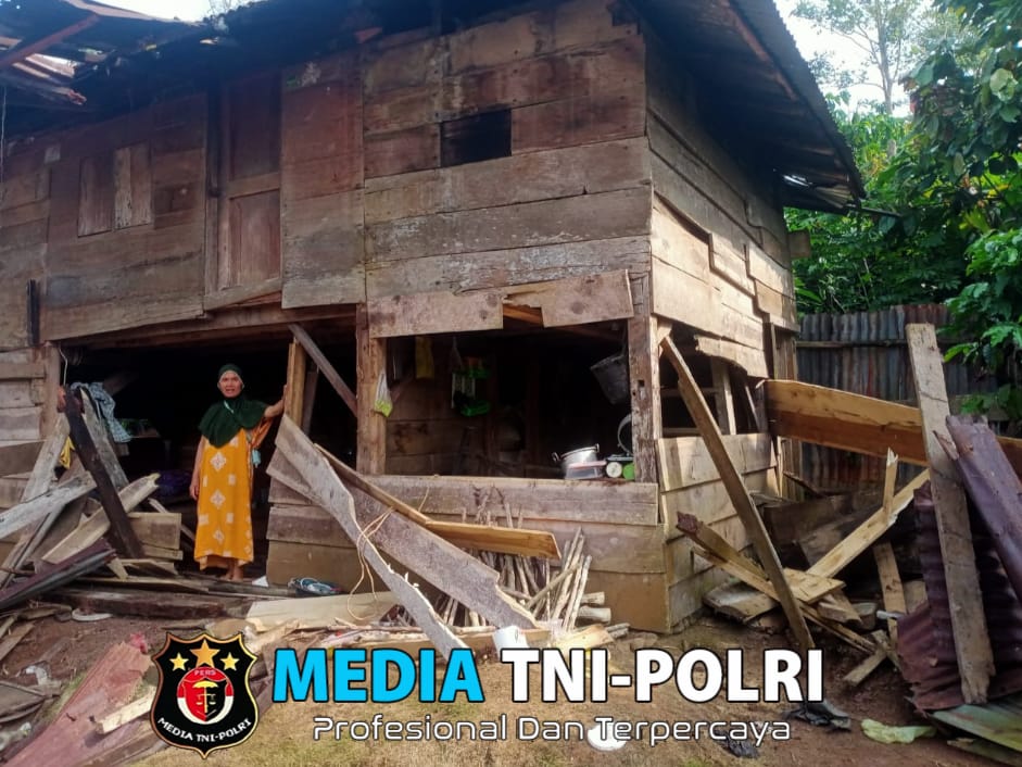 Kawanan Gajah Liar Rusak Rumah Warga di Lampung