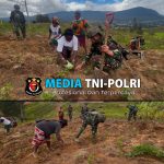 Manunggal dengan Rakyat, TK Gome Satgas Mobile Yonif 323 wujudkan ketahanan pangan Bersama Masyarakat