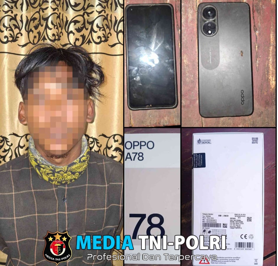Pelaku Pencurian Handphone di Peladangan Singkong Tiyuh Mekar Jaya Berhasil Ditangkap Polisi
