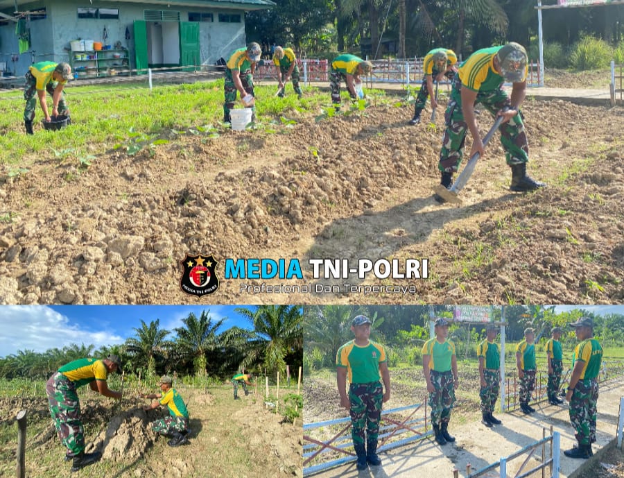 Ciptakan Ketahanan Pangan, Satgas Pamtas Yonarmed 11 Kostrad Tanam Sayur di Sekitar Pos
