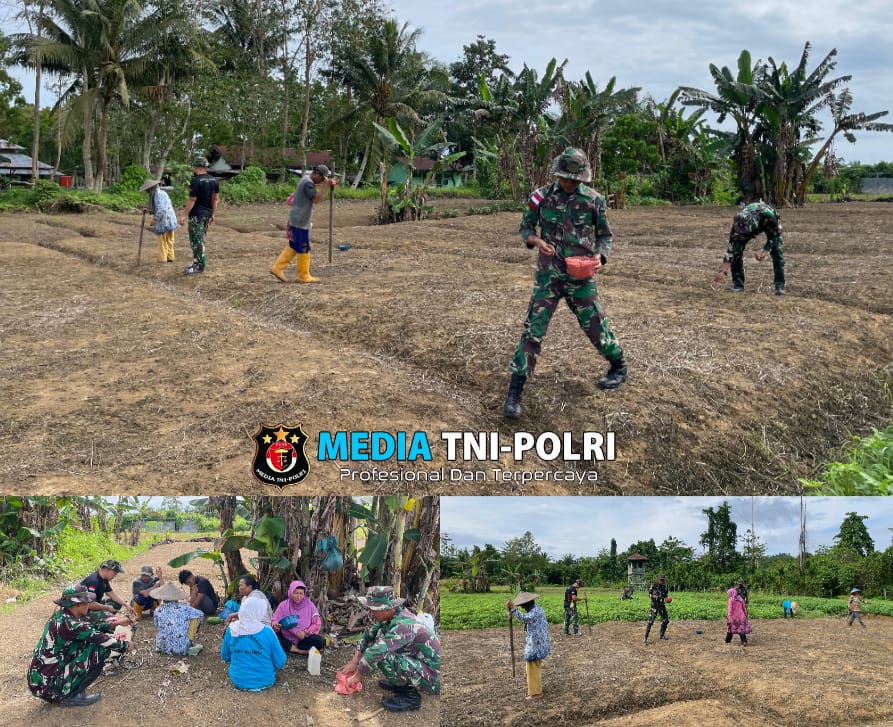 Perkuat Ketahanan Pangan, Satgas Yonif 131/BRS Bantu Warga Tanam Kacang Tanah di Perbatasan