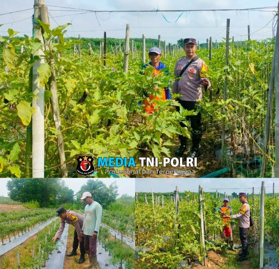 Dukung Asta Cita, Bhabinkamtibmas Polres Lampung Tengah Gencarkan Sosialisasi Ketahanan Pangan