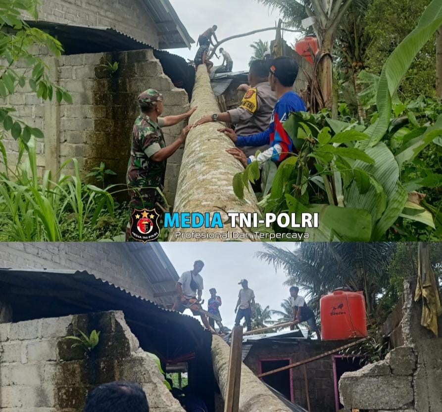 Bhabinkamtibmas dan Babinsa Bantu Evakuasi Pohon Tumbang di Kota Agung Timur