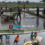 Upaya Dukung Ketahanan Pangan Wilayah, Babinsa Desa Kerjen Bantu Petani Tanam Padi