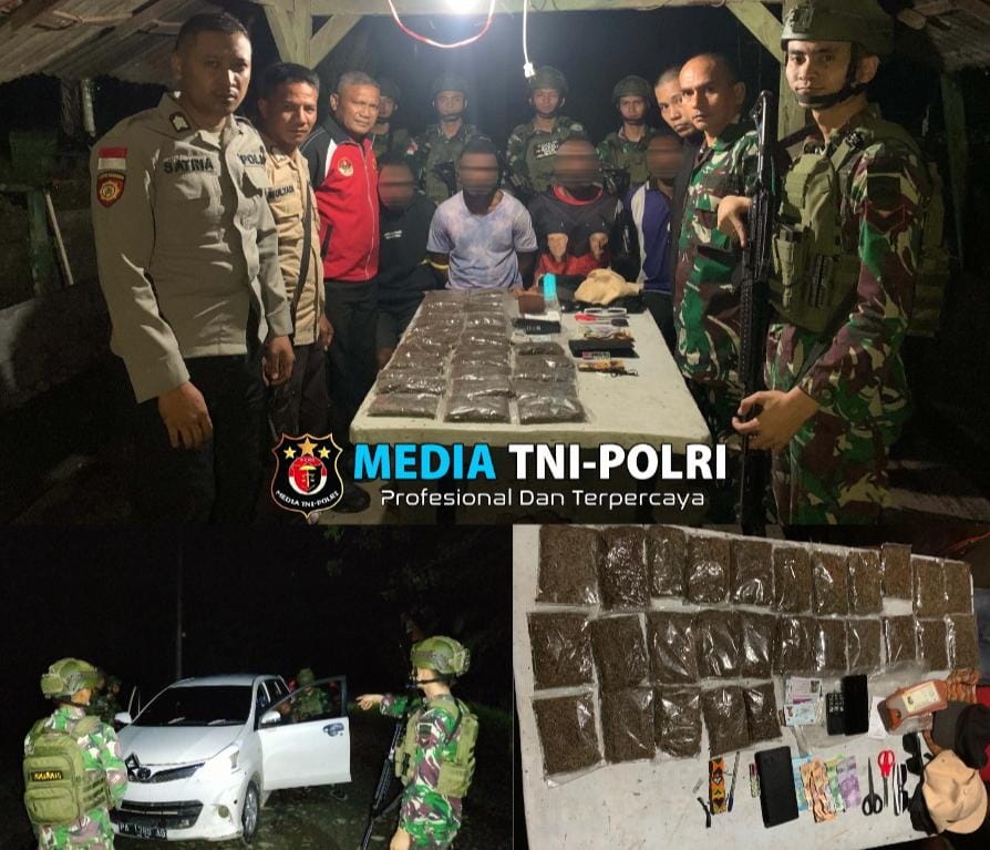 Satgas Yonif 131/BRS Kembali Gagalkan Upaya Pengedaran Ganja di Perbatasan RI-PNG
