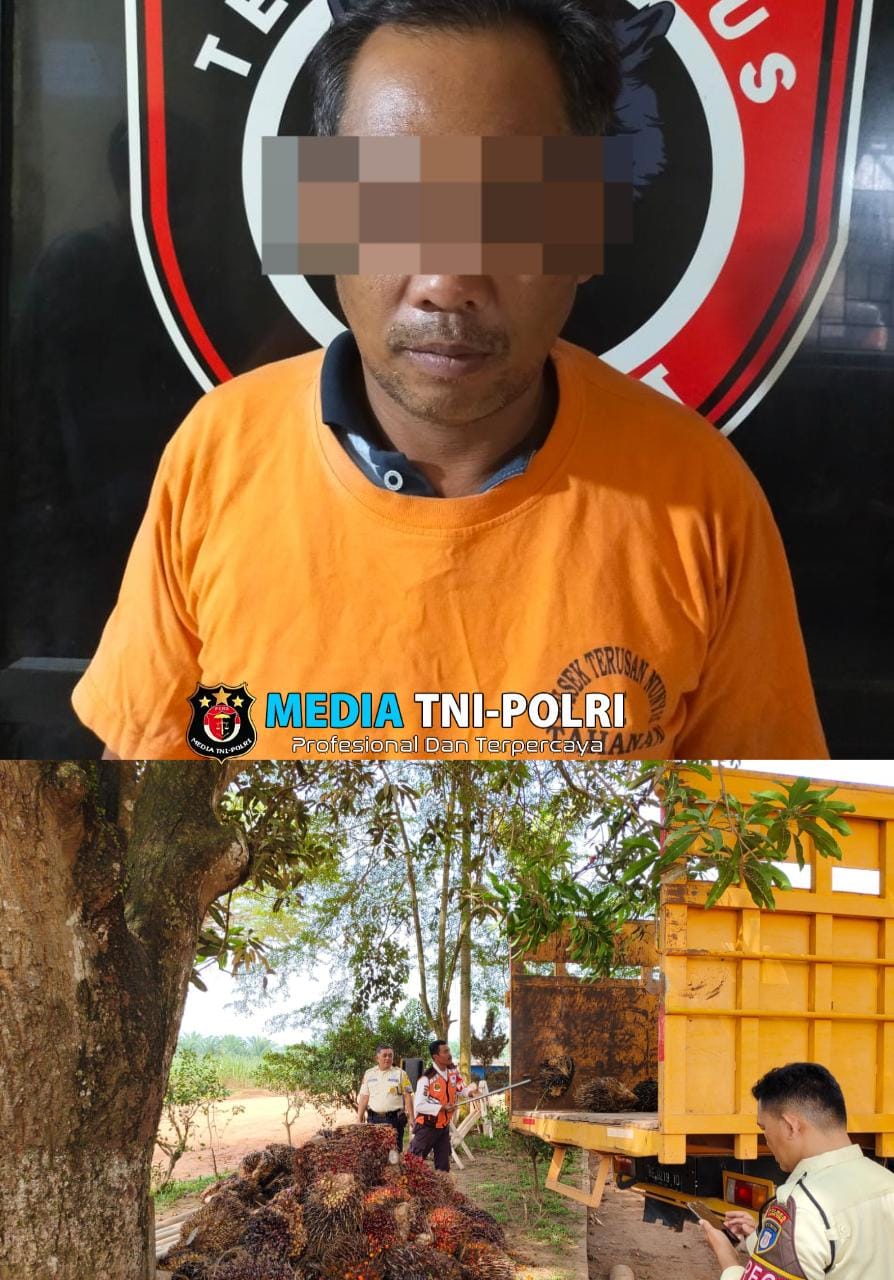 Polsek Terusan Nunyai Amankan Pelaku Pencurian Buah Sawit di PT. GMP