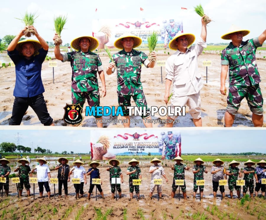 Panglima TNI Dorong Swasembada Pangan Nasional Melalui Bibit Padi Unggul Sinar Mentari