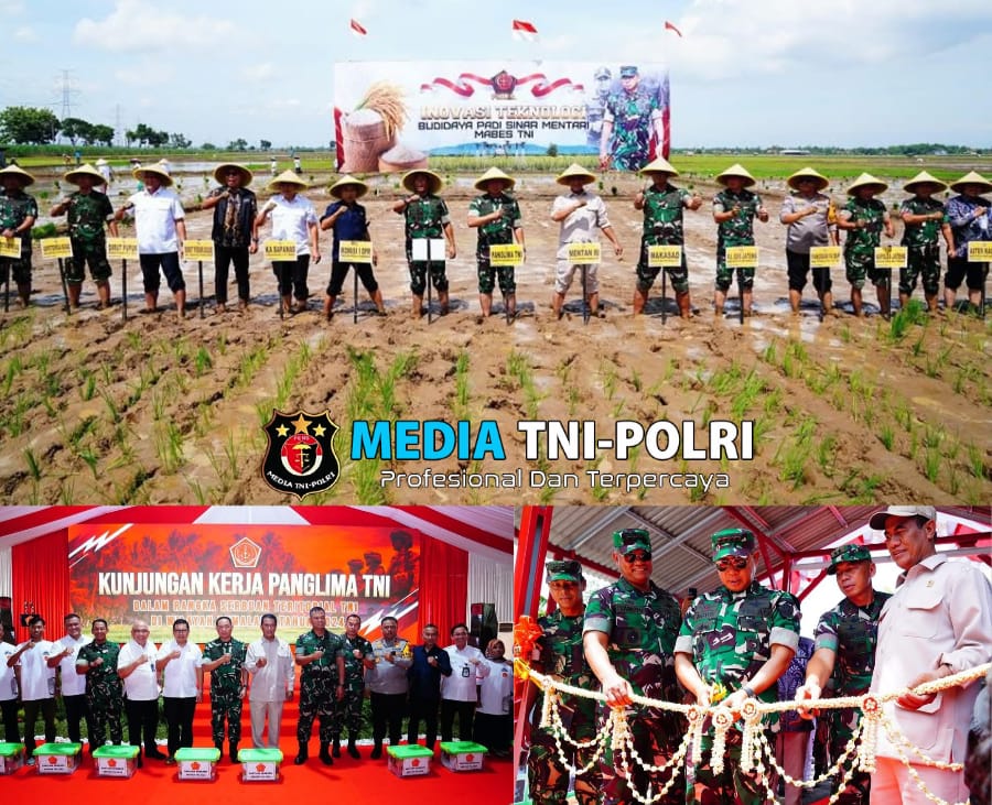 Panglima TNI Dorong Swasembada Pangan Nasional Melalui Bibit Padi Unggul Sinar Mentari