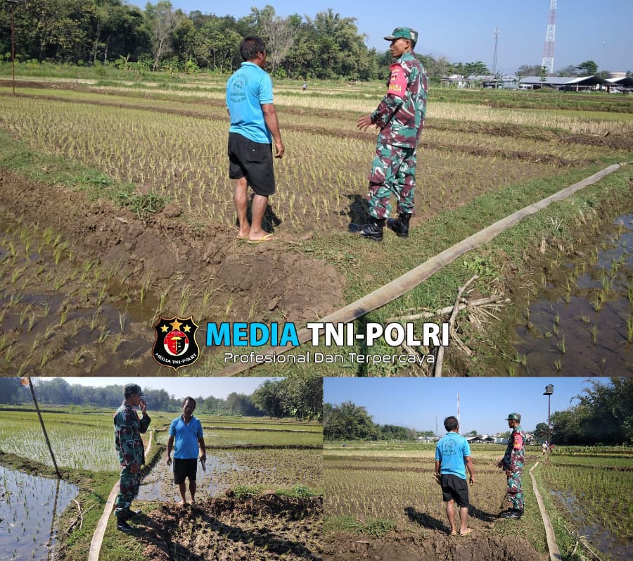 Babinsa Klego Ajak Petani Desa Karangmojo Untuk Percepat Masa Tanam