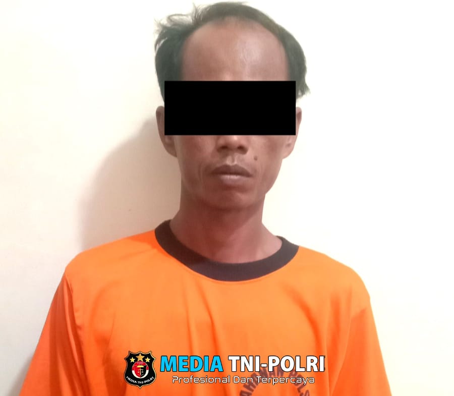 Rudapaksa Anak Kandung, Anak Tiri dan Keponakan, Pelaku Ditangkap Polsek Seputih Surabaya
