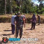 Koramil 0825/20 Songgon Dampingi Petani Tanam Jagung Wujud Dukungan untuk Ketahanan Pangan