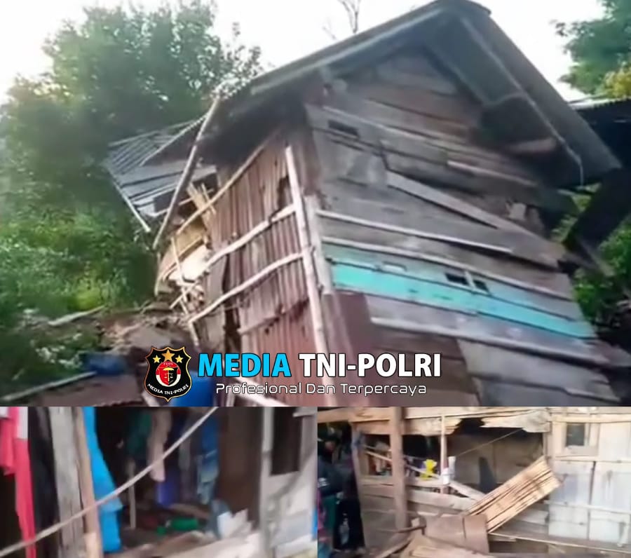 Kawanan Gajah Rusak 7 Rumah Warga di Kabupaten Tanggamus