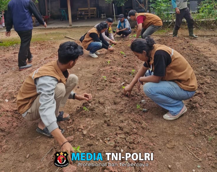 Manfaatkan Lahan Pekarangan untuk Ketahanan Pangan, Bhabinkamtibmas Tanam Cabai dan Terong