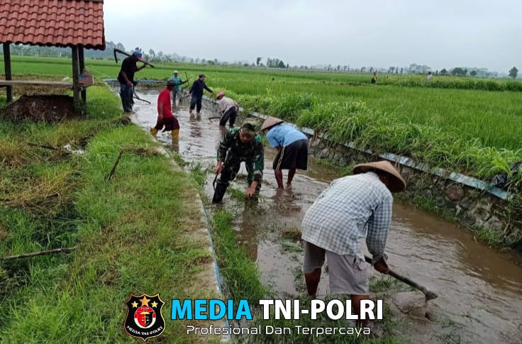 Poktan Berkah Tani di Dampingi Babinsa Optimalkan Saluran Irigasi 20 Ha Lahan Sawah di Kaliboto