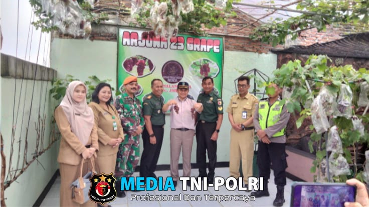 Kepala Bakorwil Jatim Terkagum-kagum dengan Budidaya Anggur di Koramil Jabung