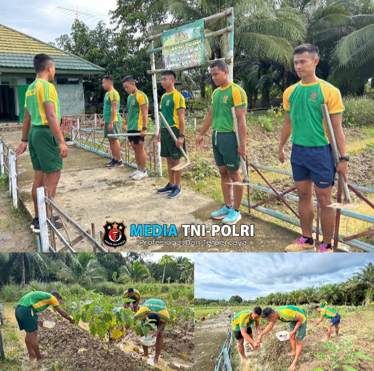 Manfaatkan Lahan Kosong, Satgas Pamtas Yonarmed 11 Kostrad Tanam Sayur di Sekitar Pos untuk Ketahanan Pangan