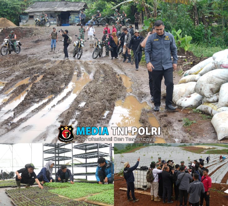 Ungkap Peran TNI AD dalam Ketahanan Pangan dan Pelestarian Alam, Dispenad Ajak Awak Media Jelajahi Agroforestry Gunung Hejo