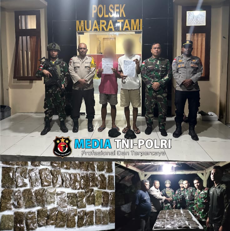 Satgas Yonif 131/Brajasakti Kembali Berhasil Amankan Ganja Seberat 1.890 gram di Perbatasan Papua