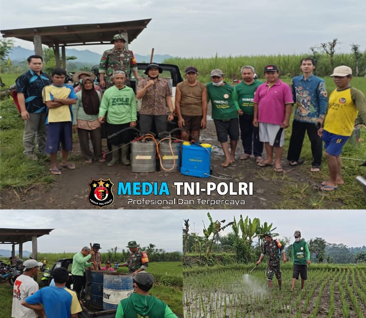 Babinsa Desa Ngrendeng Dampingi Mantri Tani Sosialisasi Insektisida Organik Anggota Poktan Ngudi Tirto