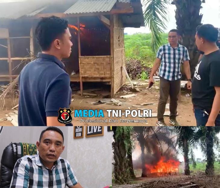 Grebek dan Musnahkan Gubuk Tempat Konsumsi Sabu, Polres Lampung Tengah Amankan 3 Tersangka
