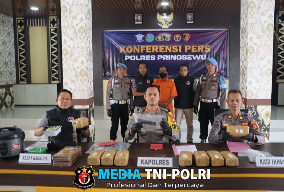 Polres Pringsewu Tangkap Pengedar 76 Kg Ganja dan Pemilik Senjata Api Ilegal