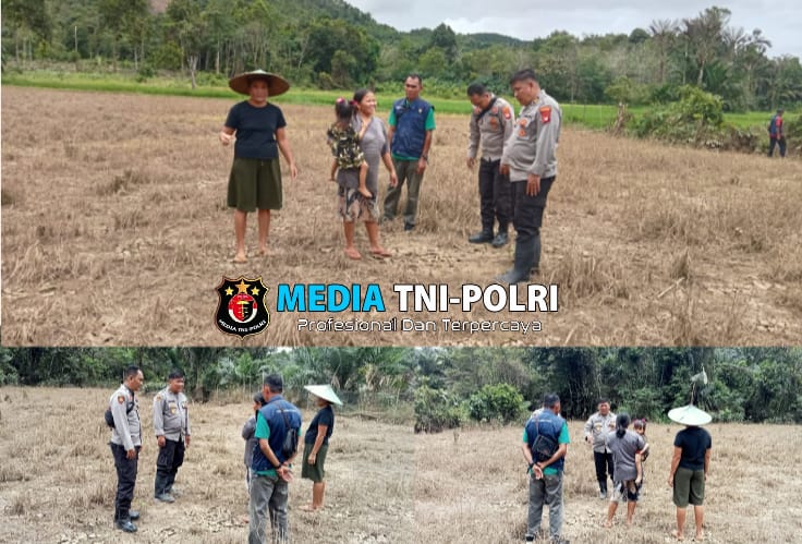 Wujud Dukungan Polri Terhadap Ketahanan Pangan Pamatwil Mempawah Hulu Cek Lahan Penanaman Jagung.