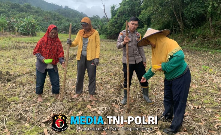 Personil Polsek Mandor Laksanakan Penanaman Tanaman Jagung