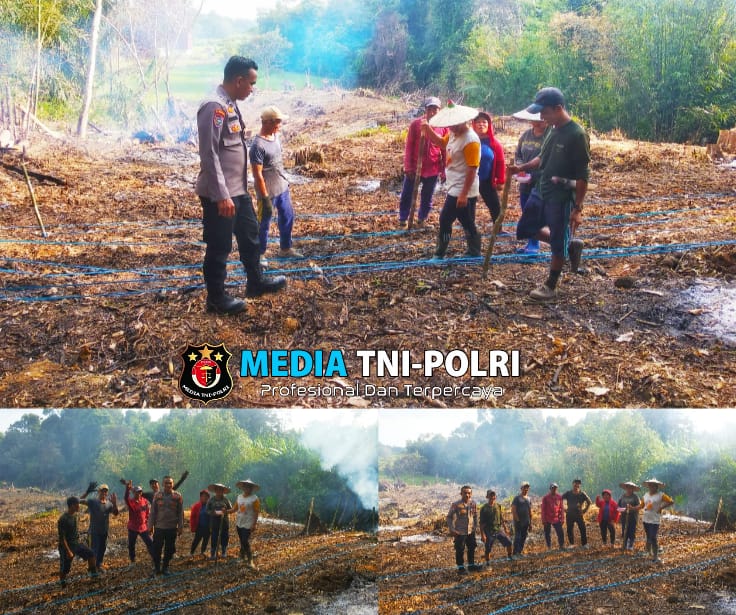 Kolaborasi Polsek Sebangki dan Kelompok Tani Wujudkan Ketahanan Pangan