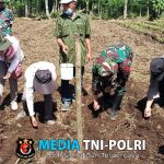 Babinsa Jambangan Serda Yusuf Tanam Bibit Jagung Bersama Warga untuk Ketahanan Pangan