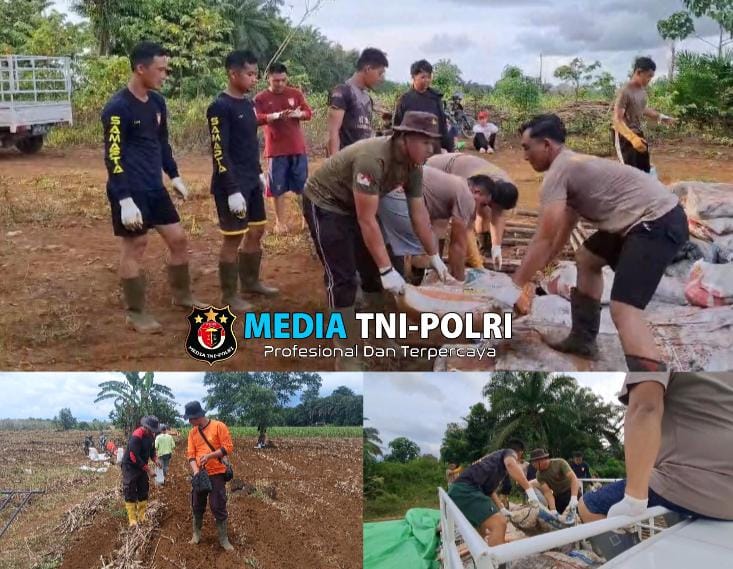 Kontribusi dalam Ketahanan Pangan, Personel Polres Bengkayang Bantu Pendistribusian Pupuk Mikroba Goggle