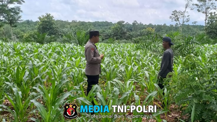 Dukung Asta Cita, Polres Lampung Tengah Intensifkan Sosialisasi Ketahanan Pangan kepada Masyarakat