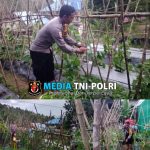 Bhabinkamtibmas Laksanakan Pengecekan Program Pekarangan Pangan Bergizi Dalam Rangka Mendukung Ketahanan Pangan